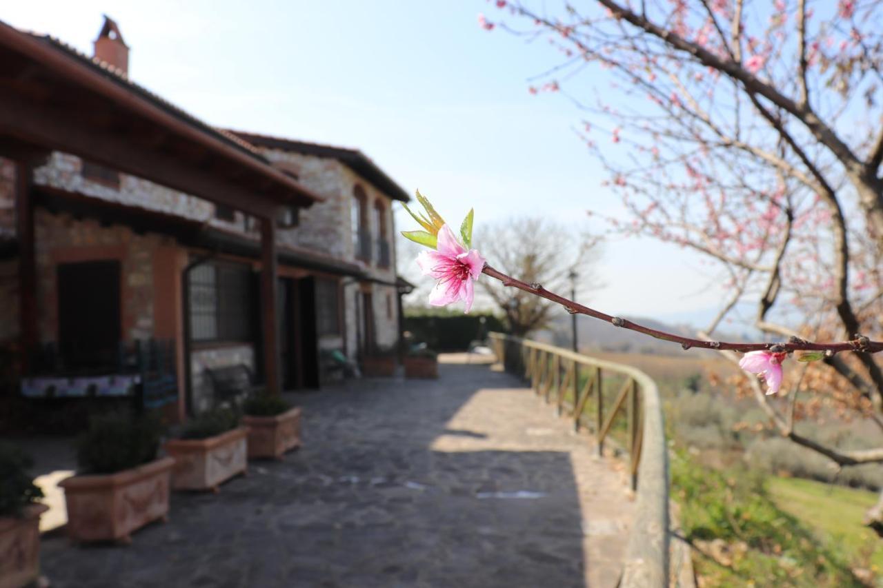 Gualdo Cattaneo B&B Casale Roshlee מראה חיצוני תמונה